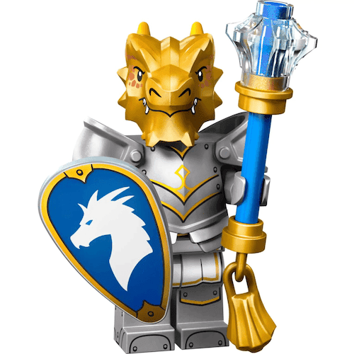 Dragonborn Paladin