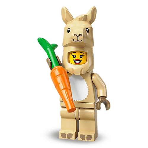 Llama Costume Girl