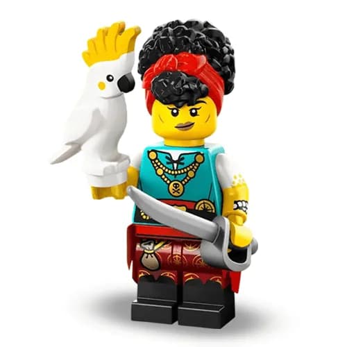 Pirate Quartermaster